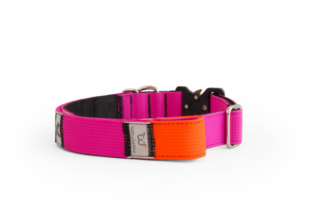 zugstopp halsband gepolstert Outdoor Zugstopp Halsband India – pesuss main image 1