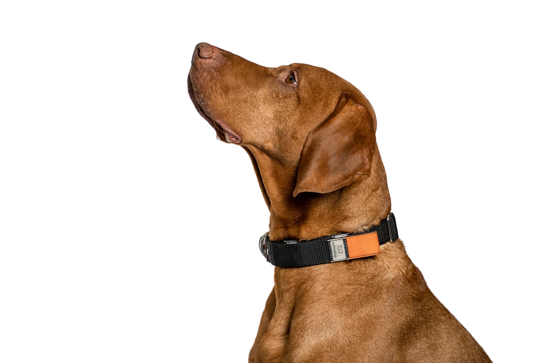 WowWow Shop - Alle Produkte ansehen – WowWow.de